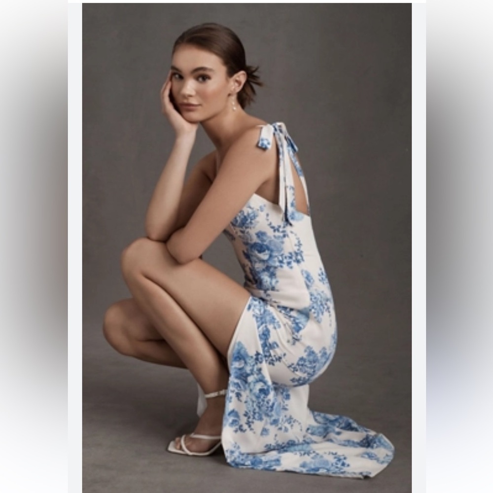 Revelry Floral Halter Maxi Blue and White Floral Size 4